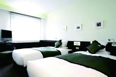 Mystays Ochanomizu Conference Center Hotel Tokio